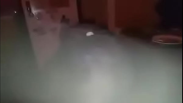 Early_morning_head on_Christmas morning