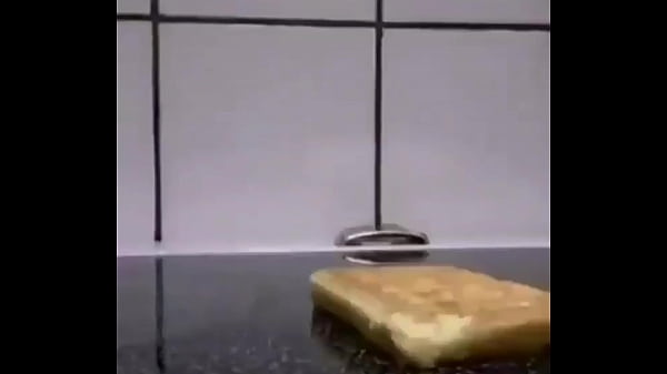 Tostada CHAN