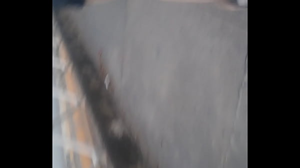 Una zorra por la calle