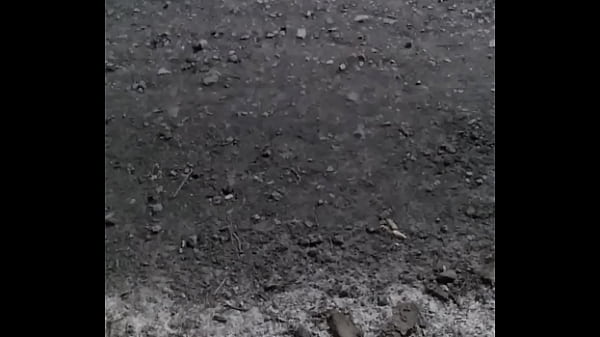 V&iacute_deo de verificaci&oacute_n