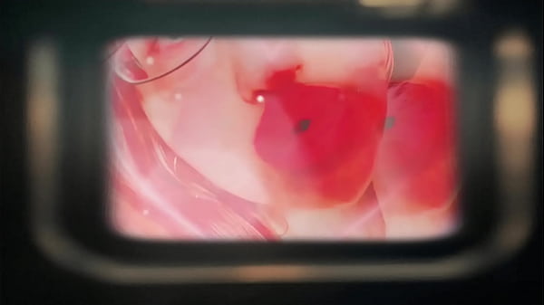 Stroke, Tribute And Pay For Your Pleasure Joi thumbnail