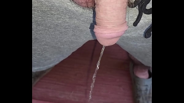 Play MP4 - Morning porch pee