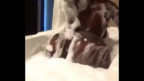 8ccf59e59c37f3ae374f171a919ff98f 