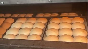 V&iacute;deo de verificaci&oacute;n 