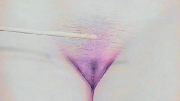 Face  1234567891011121314151617...64Next SEXBOKEP adalah Website Bokep Indonesia Terbaru dan Terlengkap Gratis dimana Anda dapat menonton streaming video bokep dan download vidio bokep terbaru yang sedang viral dengan aplikasi bokep android, Aplikasi bokep free download simontok app terbaru 2026 for PC Mobile Online dan HP     Contact Us   DMCA   Disclamer   Privacy and Policy   Conditions of Use  &copy; 2026 SEXBOKEP All rights reserved