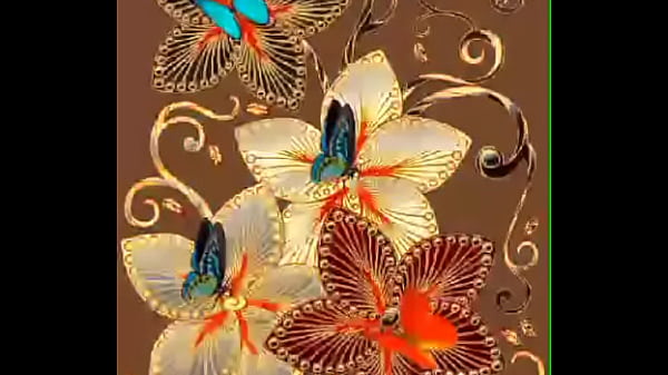 V&iacute;deo de verifica&ccedil;&atilde;o 