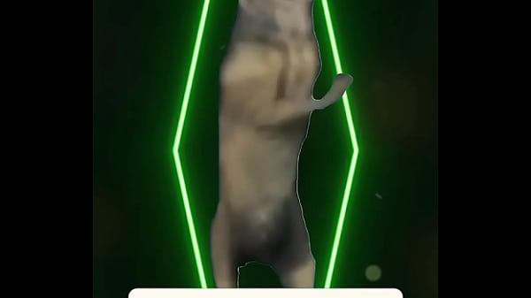 No tower could hold her forever she&rsquo;s beauty she&rsquo;s light &mdash; she&rsquo;s her own kind of magic 