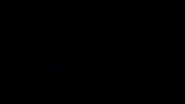 querico cogela putade la col dr