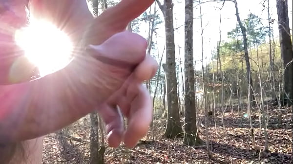 Boardwalk on_a sunny_day