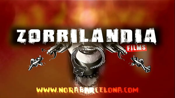 Presentaci&oacute;n un pa&iacute;s llamado zorrilandia