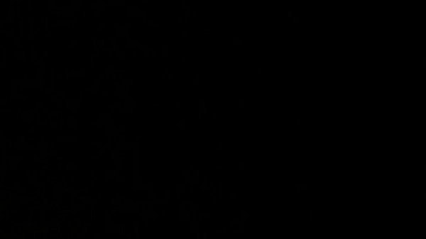 LBO - Neighborhood Watch 02 - Full movie 