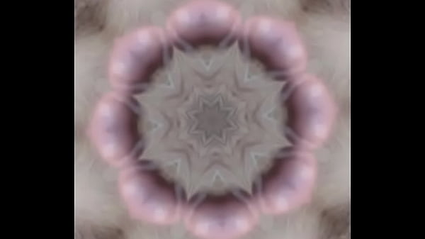 Cock Kaleidoscope