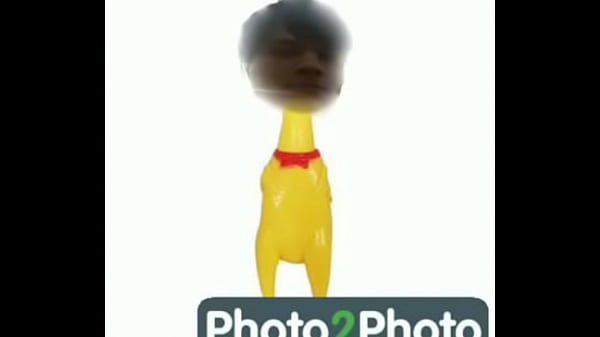 Pollito apachurra y gime