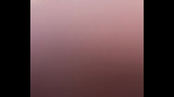 P.A.W.G. (Phat Ass Wonderful Ginger)