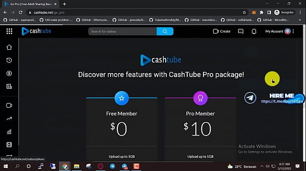 Make your own porn site 