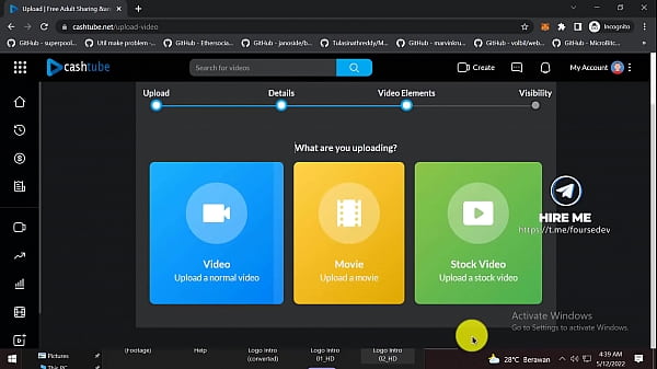 Make your own porn site 