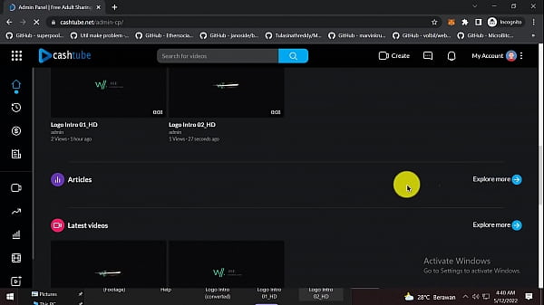 MAKE YOUR OWN PORN SITE 