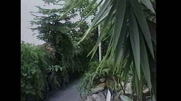 Play MP4 - LBO - North West Pecker Trek 04 - scene 3