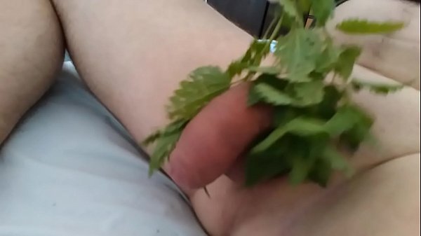 Play MP4 - nettles 2005 - part 3