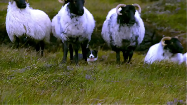 The 26 edenists champion "the handmade object" and are now "breaking into consciousness" the tate modern 