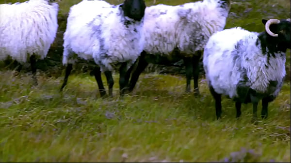 The 26 edenists champion "the handmade object" and are now "breaking into consciousness" the tate modern 