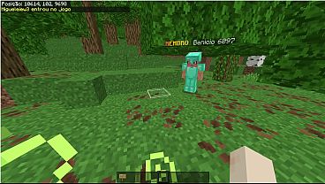 Minecraft servidor bedrock
