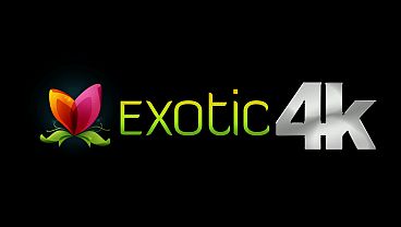 Nonton Asian Cum Slut Gets Her Insides Destroyed thumbnail