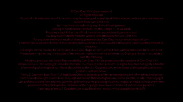 Nonton Bow Down To Your Mistress thumbnail