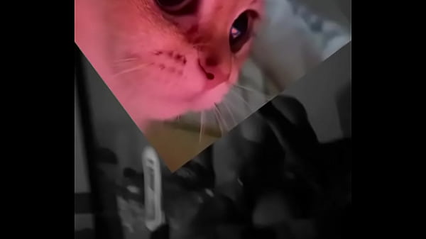 Conoceme un poco te sorprenderas 