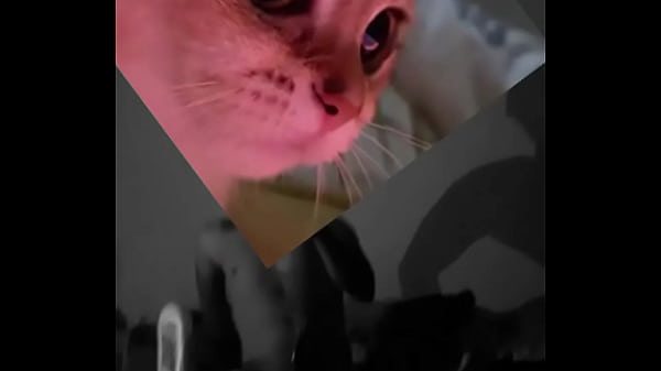 Conoceme un poco te sorprenderas 