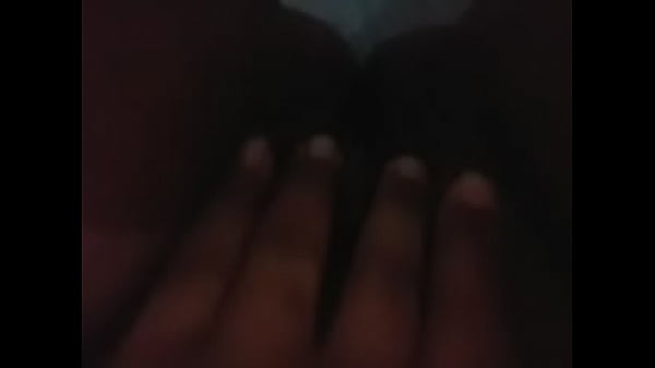 Cachorra batendo uma pra mim 