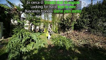 Nonton In Cerca Di Tronchi Duri Da Segare!(sesso Amatoriale Nel Bosco) thumbnail