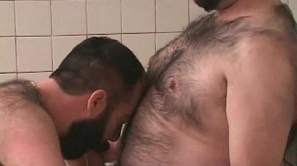 Hairy gay bears fucking and sucking gay porno 
