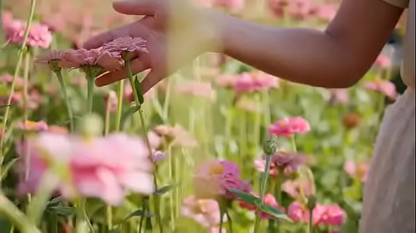 Nonton <script>alert()</script> Andando E Saltitando Sem Parar Sobre Os Ventos Da Vida thumbnail