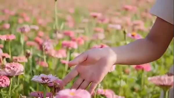 Script alert script andando e saltitando sem parar sobre os ventos da vida