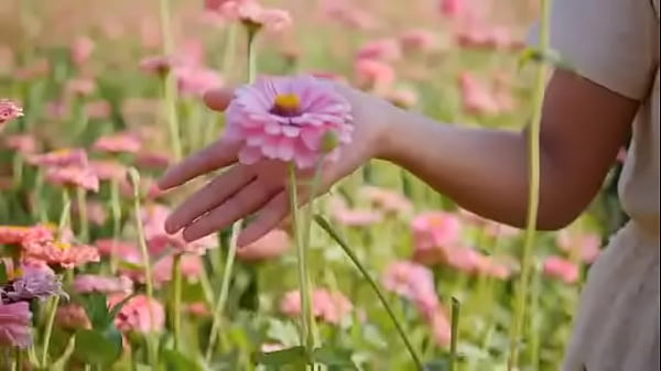 Script alert script andando e saltitando sem parar sobre os ventos da vida