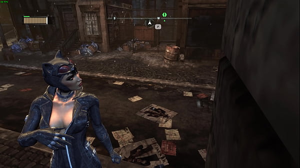 Catwoman Cleavage Arkham City Sexy Angles 