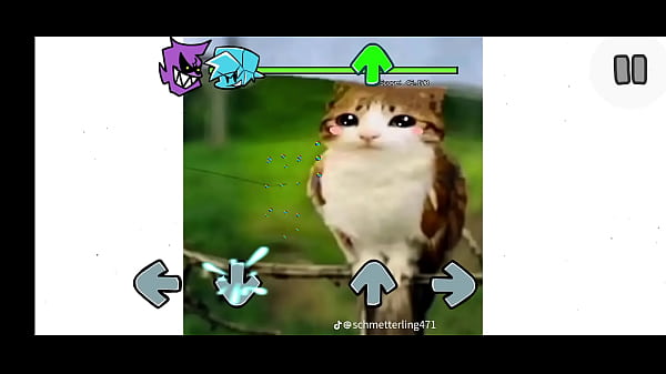 Fnf mod del gato pendejo de tik tok 