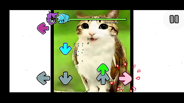 Fnf mod del gato pendejo de tik tok 