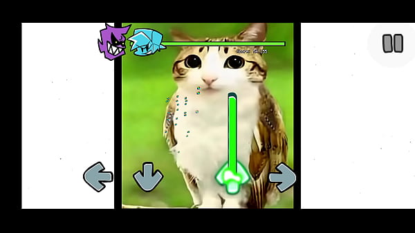 Fnf mod del gato pendejo de tik tok 