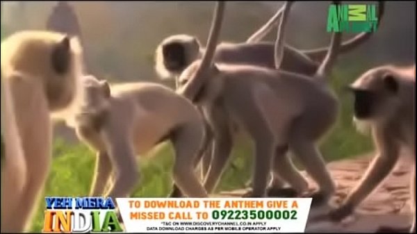 Yeh Mera India Anthem - Promo thumbnail