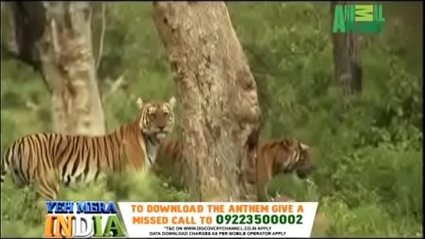 Yeh Mera_India Anthem Promo