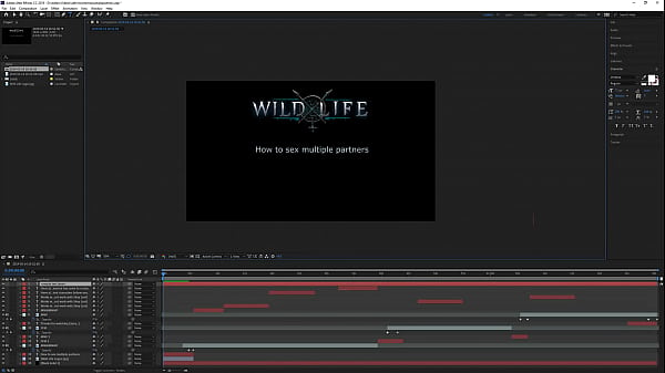 Wl broadcast by as on picarto from march 2019 a 