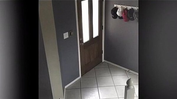 Nonton Trim.2b10830a-6af9-4230-b19e-b2fdf65544e0.mov thumbnail