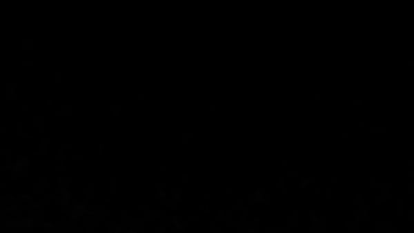 Nonton あこんほ thumbnail