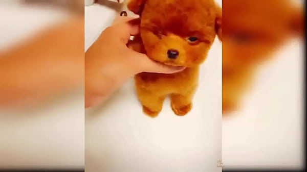 Puppy compilation 92