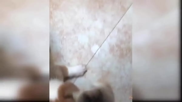 Puppy compilation 92