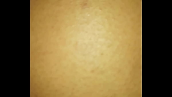 Clarencecock Xcellent Bb.w. Bareback thumbnail