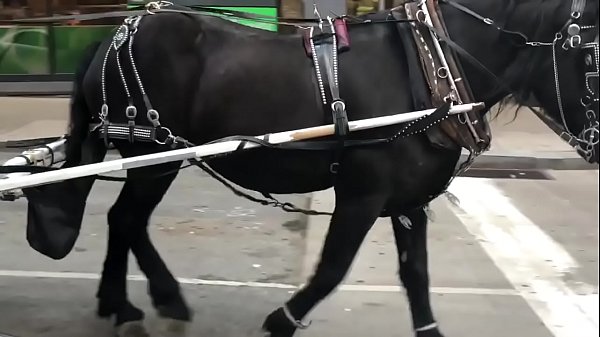 He could not wait tosuck the squirt out of her fat pussy!!