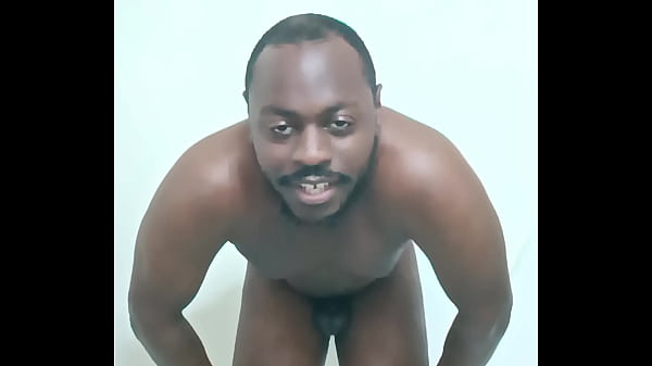 Scorpio zodiac animals that are green like a leaf 1 